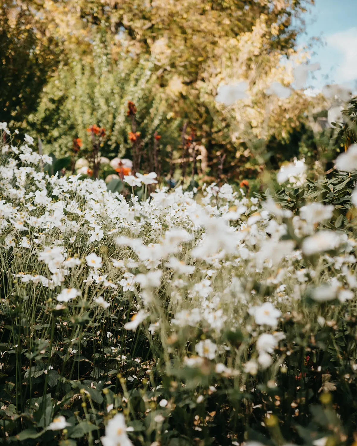 Kenilworth Gardens Estate - 12 acres of gardens
